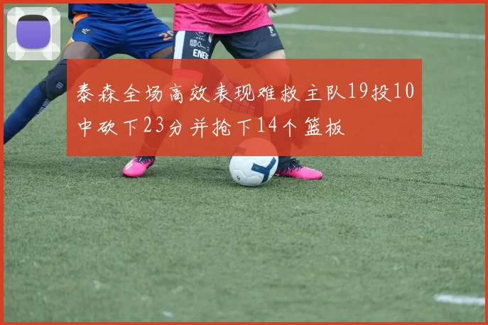 泰森全场高效表现难救主队19投10中砍下23分并抢下14个篮板