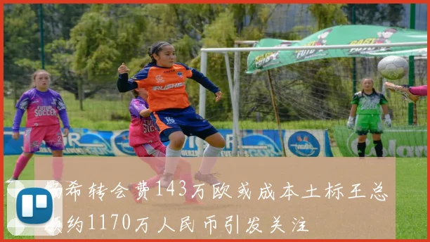 杨希转会费143万欧或成本土标王总额约1170万人民币引发关注