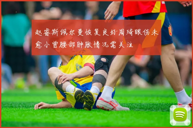 赵睿斯佩尔曼恢复良好周琦眼伤未愈小曾腰部肿胀情况需关注