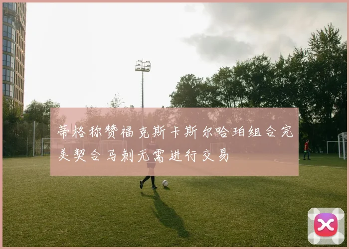 蒂格称赞福克斯卡斯尔哈珀组合完美契合马刺无需进行交易