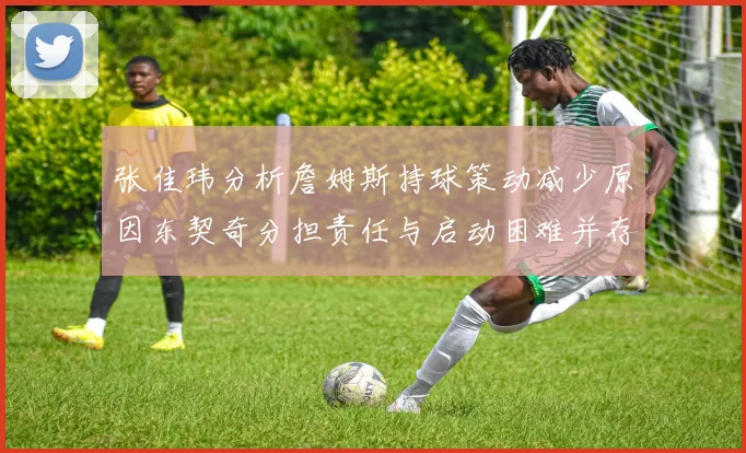 张佳玮分析詹姆斯持球策动减少原因东契奇分担责任与启动困难并存