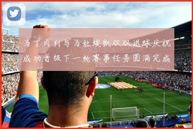 马丁内利与马杜埃凯双双进球庆祝成功晋级下一轮赛事任务圆满完成